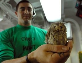 Click photo for screen-resolution image