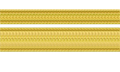 Lieutenant Junior Grade