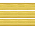 Commander