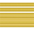 Vice Admiral