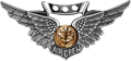 Combat Air Crew Wings