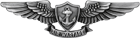 Enlisted Aviation Warfare Specialist Badge