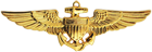 Naval Aviator Wings